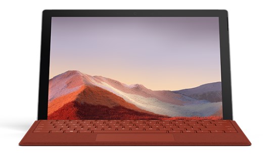 武陵源清洁和维护 Surface